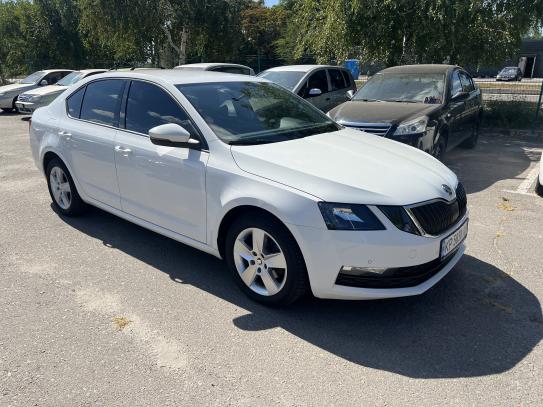 Skoda Octavia
                         2019г. в рассрочку