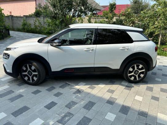 Citroen C4
                              2019г. в рассрочку
