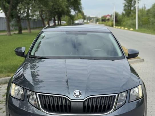 Skoda Octavia 2017 in Raten