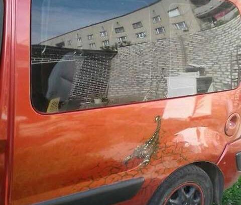 Renault Kangoo 2006г. в рассрочку